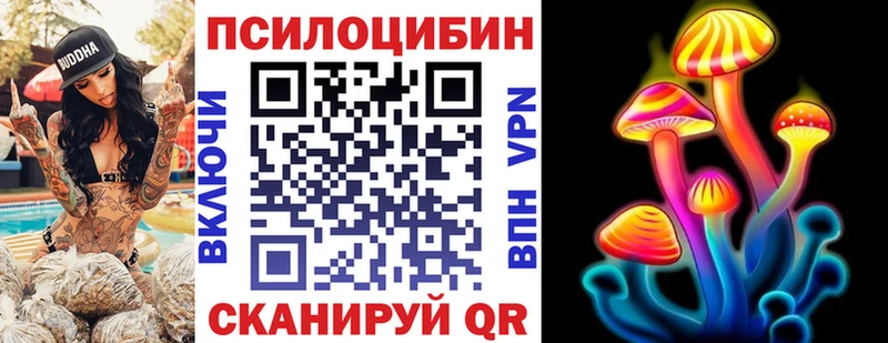 где найти Давлеканово Галлюциногенные грибы Cubensis